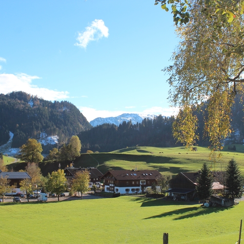 Hundetreffen 2014 im Allgäu (5)